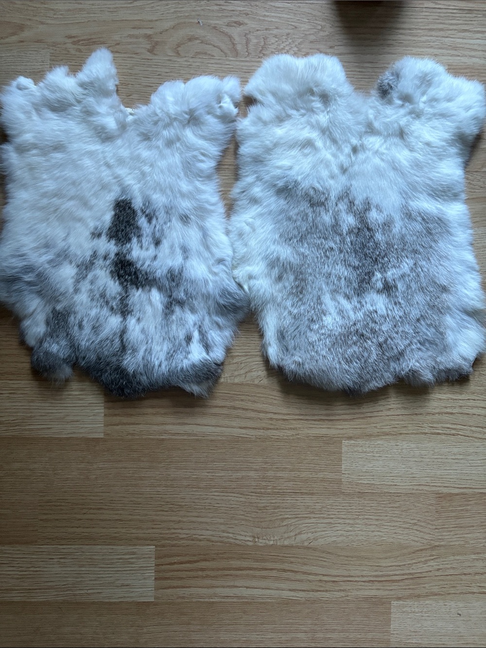 B0203 Pair of White and Gray Rabbit Fur Pelts